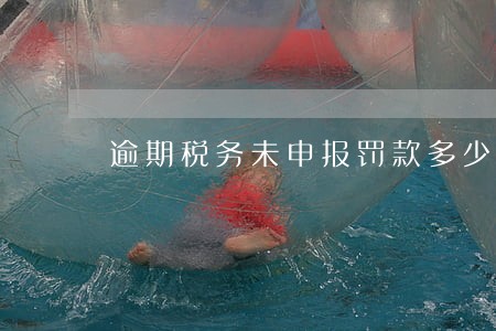 逾期税务未申报罚款多少