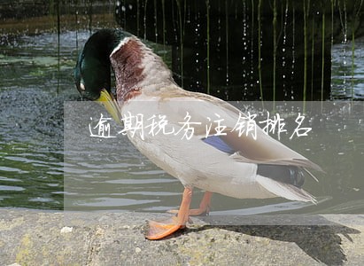逾期税务注销排名