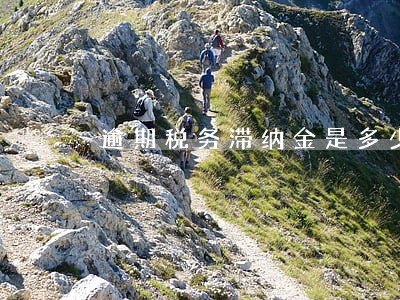 逾期税务滞纳金是多少 逾期税务滞纳金是多少