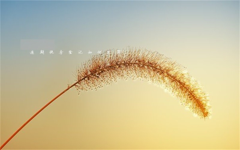 逾期税务登记如何处罚 逾期税务登记如何处罚