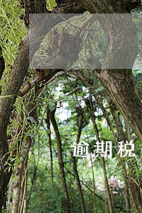 逾期税务罚多少 逾期税务罚多少