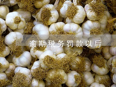 逾期税务罚款以后 逾期税务罚款以后
