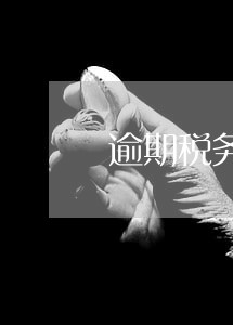 逾期税务罚款做账 逾期税务罚款做账