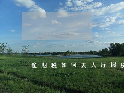 逾期税如何去大厅报税 逾期税如何去大厅报税