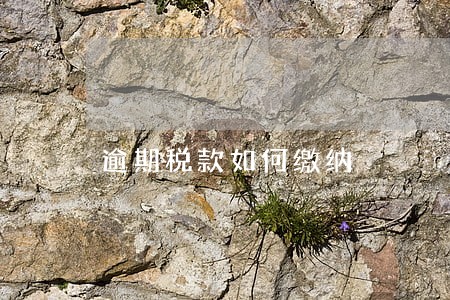 逾期税款如何缴纳