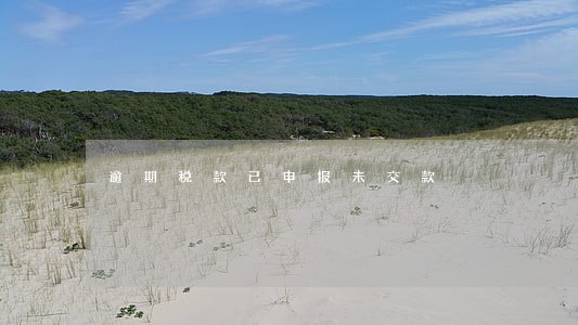 逾期税款已申报未交款