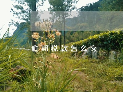 逾期税款怎么交 逾期税款怎么交