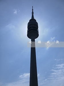 逾期税款未缴纳 逾期税款未缴纳