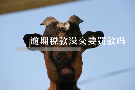 逾期税款没交要罚款吗 逾期税款没交要罚款吗