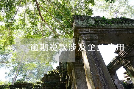 逾期税款涉及企业信用 逾期税款涉及企业信用