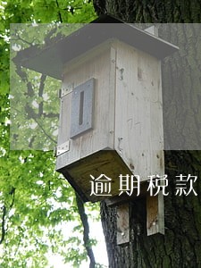 逾期税款滞纳金分录 逾期税款滞纳金分录