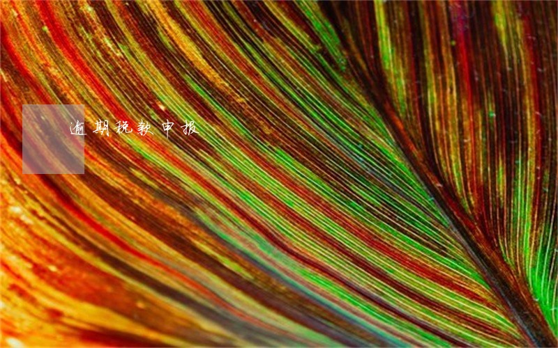 逾期税款申报 逾期税款申报
