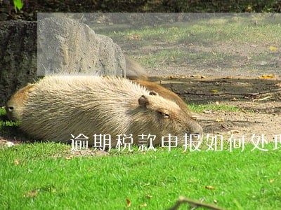 逾期税款申报如何处理 逾期税款申报如何处理