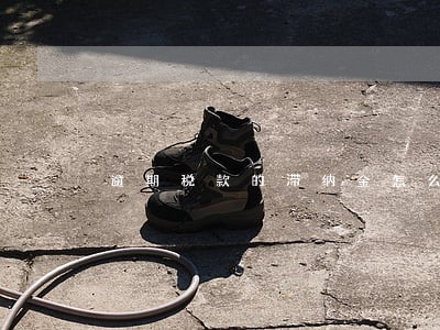 逾期税款的滞纳金怎么做会计分录 逾期税款的滞纳金怎么做会计分录
