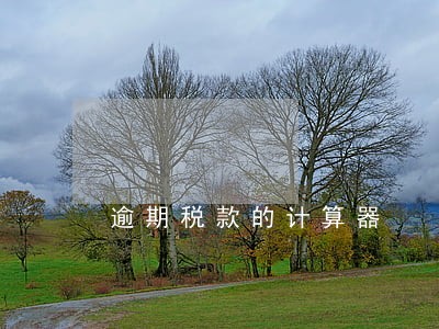 逾期税款的计算器 逾期税款的计算器