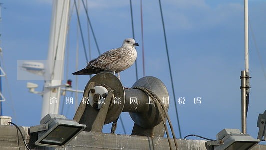 逾期税款能网上扣税吗 逾期税款能网上扣税吗