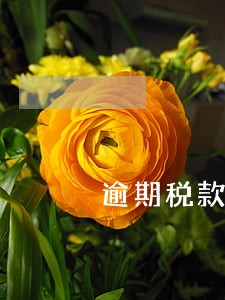 逾期税款补征入库 逾期税款补征入库
