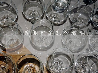 逾期税金怎么缴纳 逾期税金怎么缴纳
