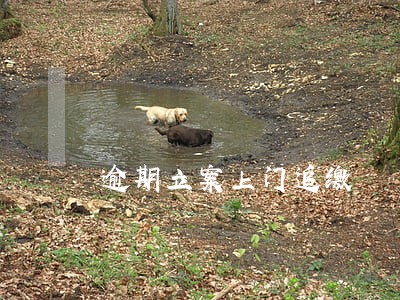 逾期立案上门追缴 逾期立案上门追缴