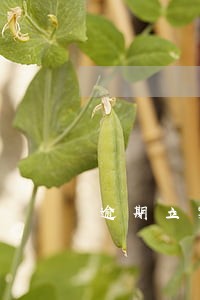 逾期立案书图片 逾期立案书图片