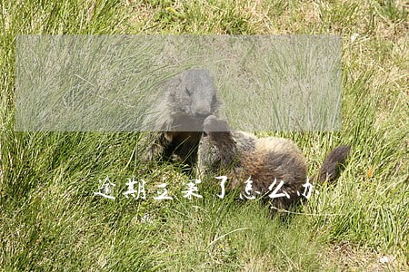 逾期立案了怎么办 逾期立案了怎么办