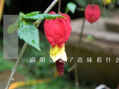 逾期立案了意味着什么