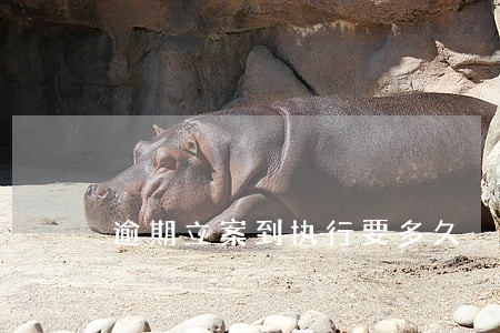 逾期立案到执行要多久 逾期立案到执行要多久