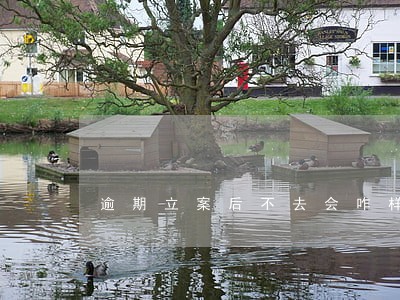 逾期立案后不去会咋样