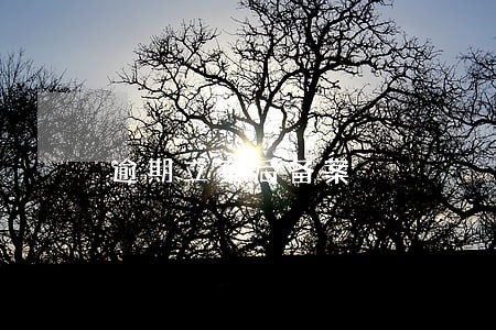 逾期立案后备案