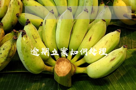 逾期立案如何处理 逾期立案如何处理