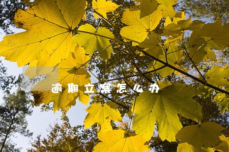 逾期立案怎么办 逾期立案怎么办