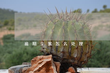 逾期立案怎么处理 逾期立案怎么处理