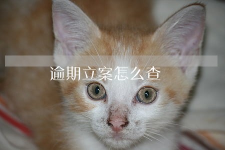 逾期立案怎么查 逾期立案怎么查