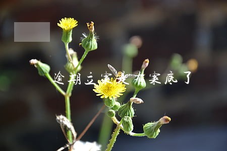 逾期立案是有案底了 逾期立案是有案底了