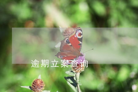 逾期立案查询 逾期立案查询
