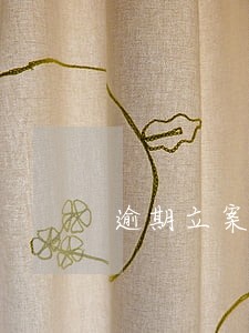 逾期立案的前提 逾期立案的前提