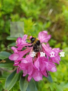 逾期立案短信通知 逾期立案短信通知