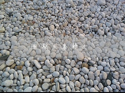 逾期立案移交