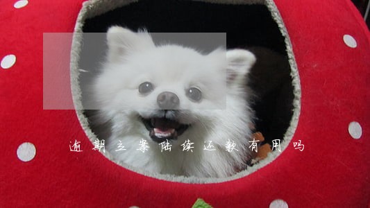 逾期立案陆续还款有用吗 逾期立案陆续还款有用吗