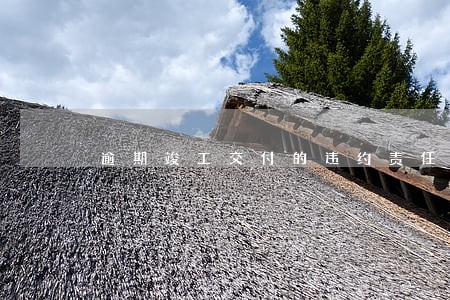 逾期竣工交付的违约责任 逾期竣工交付的违约责任