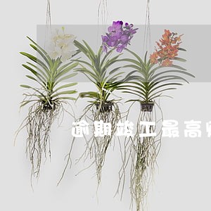 逾期竣工最高赔偿限额 逾期竣工最高赔偿限额
