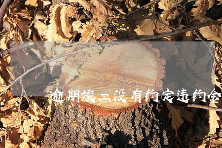 逾期竣工没有约定违约金标准的 逾期竣工没有约定违约金标准的