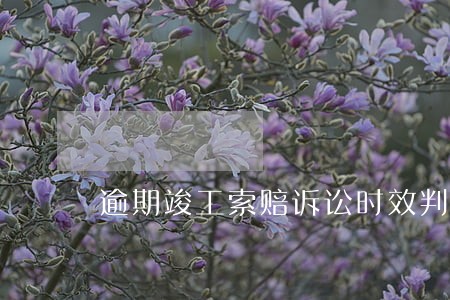 逾期竣工索赔诉讼时效判断 逾期竣工索赔诉讼时效判断
