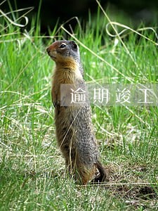 逾期竣工赔偿依据 逾期竣工赔偿依据
