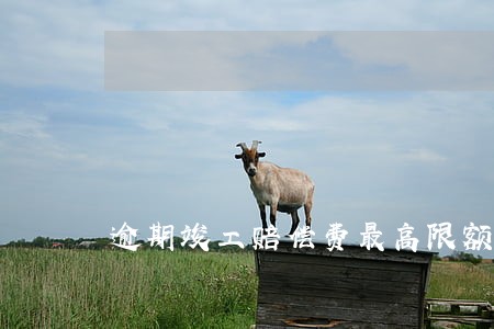 逾期竣工赔偿费最高限额 逾期竣工赔偿费最高限额