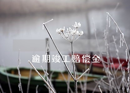 逾期竣工赔偿金 逾期竣工赔偿金