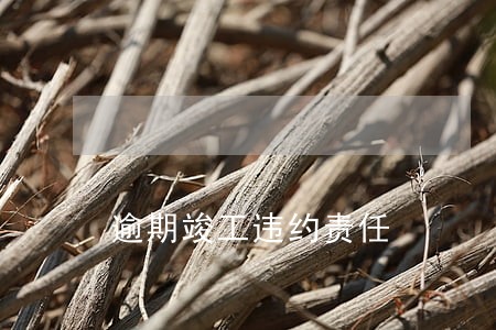 逾期竣工违约责任 逾期竣工违约责任