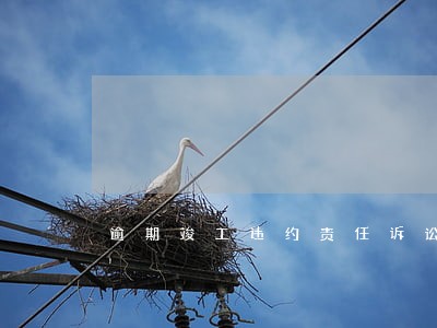 逾期竣工违约责任诉讼时效 逾期竣工违约责任诉讼时效