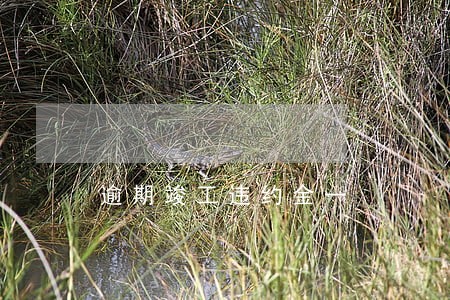 逾期竣工违约金一 逾期竣工违约金一