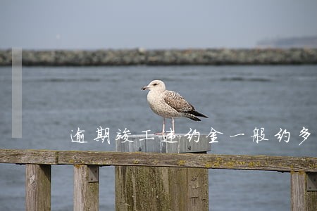 逾期竣工违约金一般约多少 逾期竣工违约金一般约多少